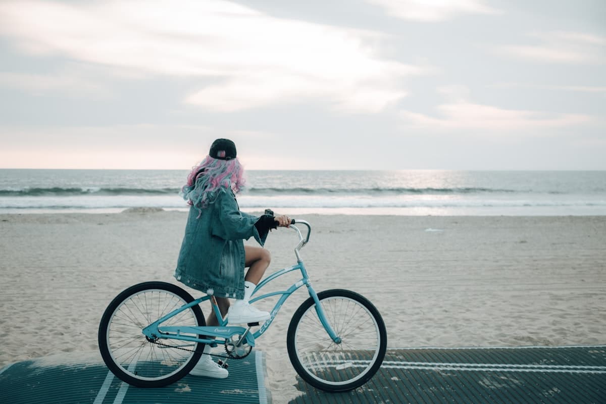 Alquiler de bicis