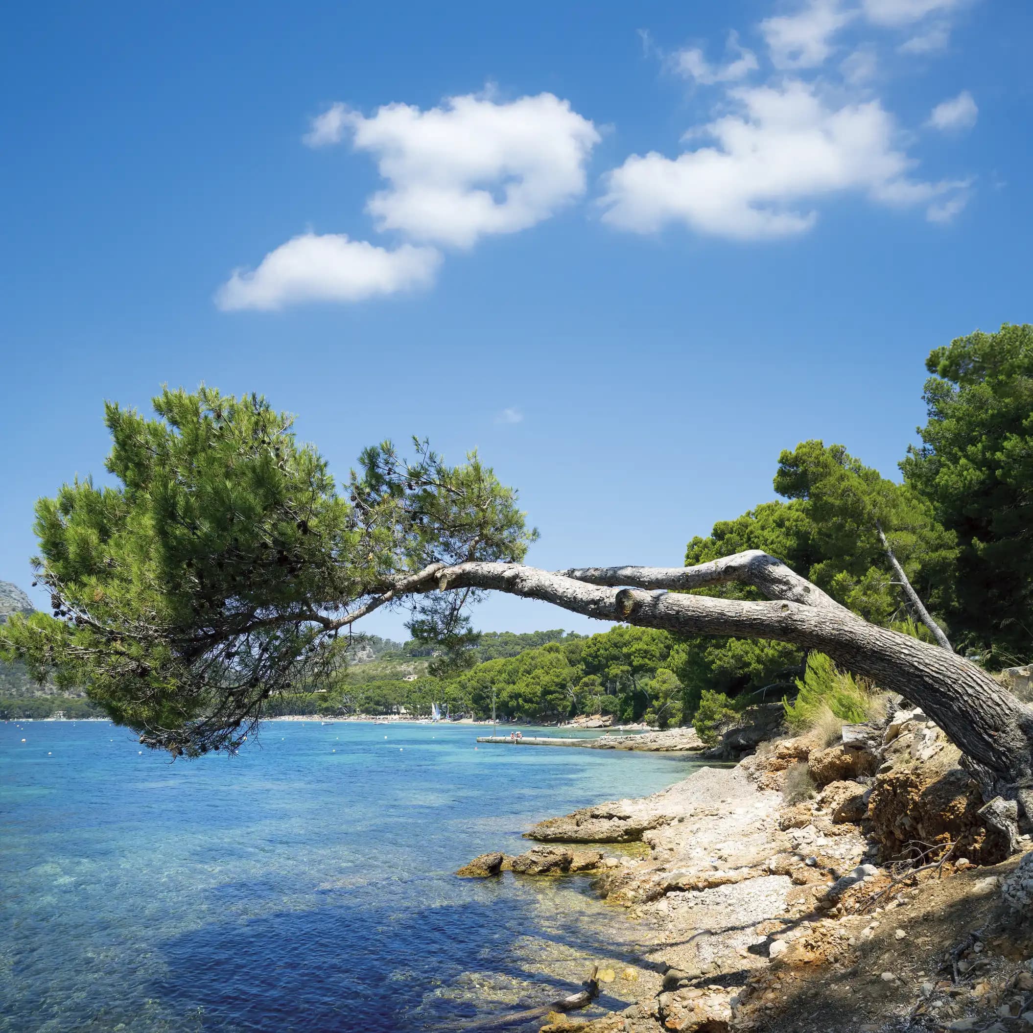 Ruta a Formentor